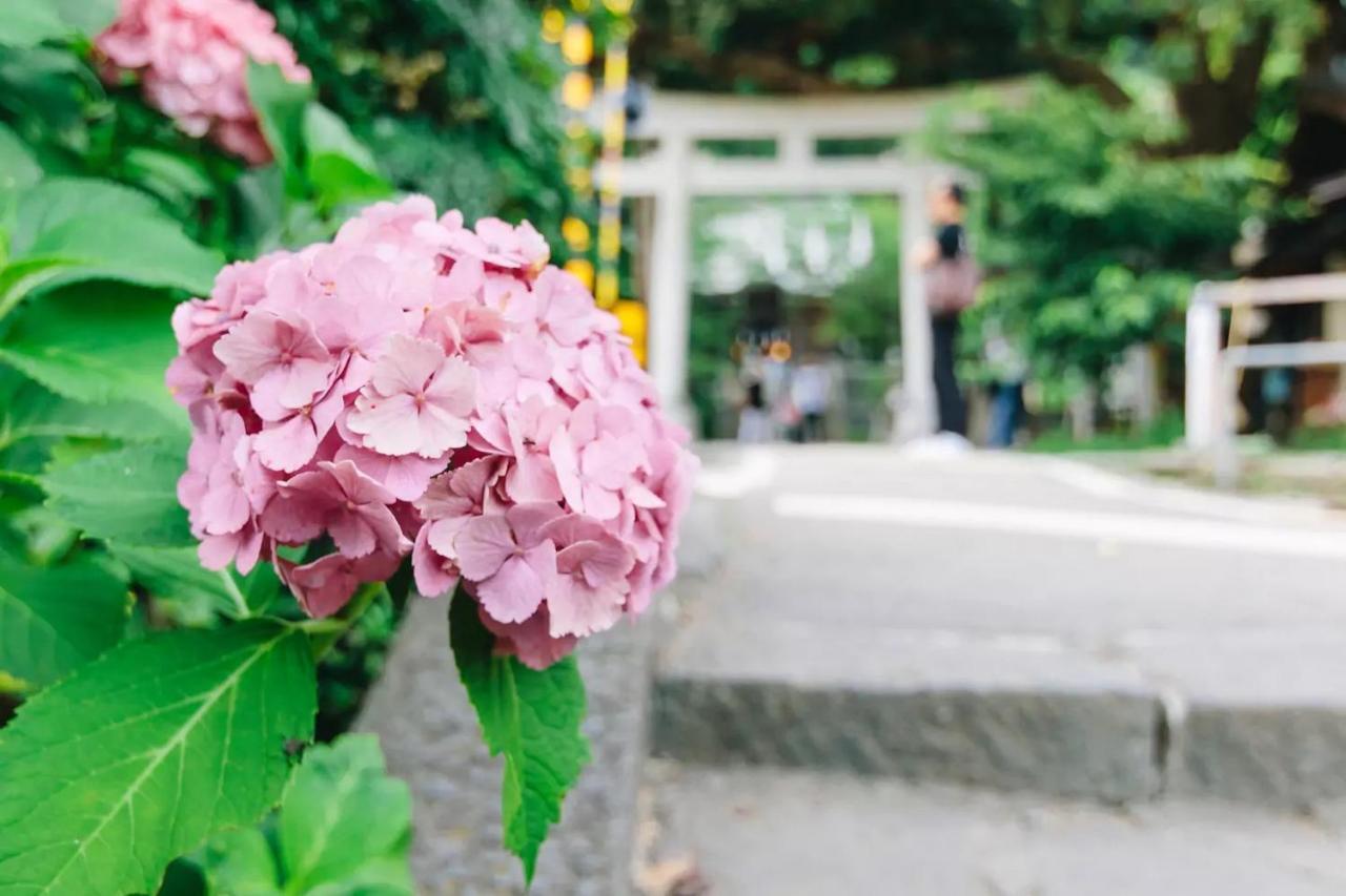 Villa Kamakura Bagian luar foto