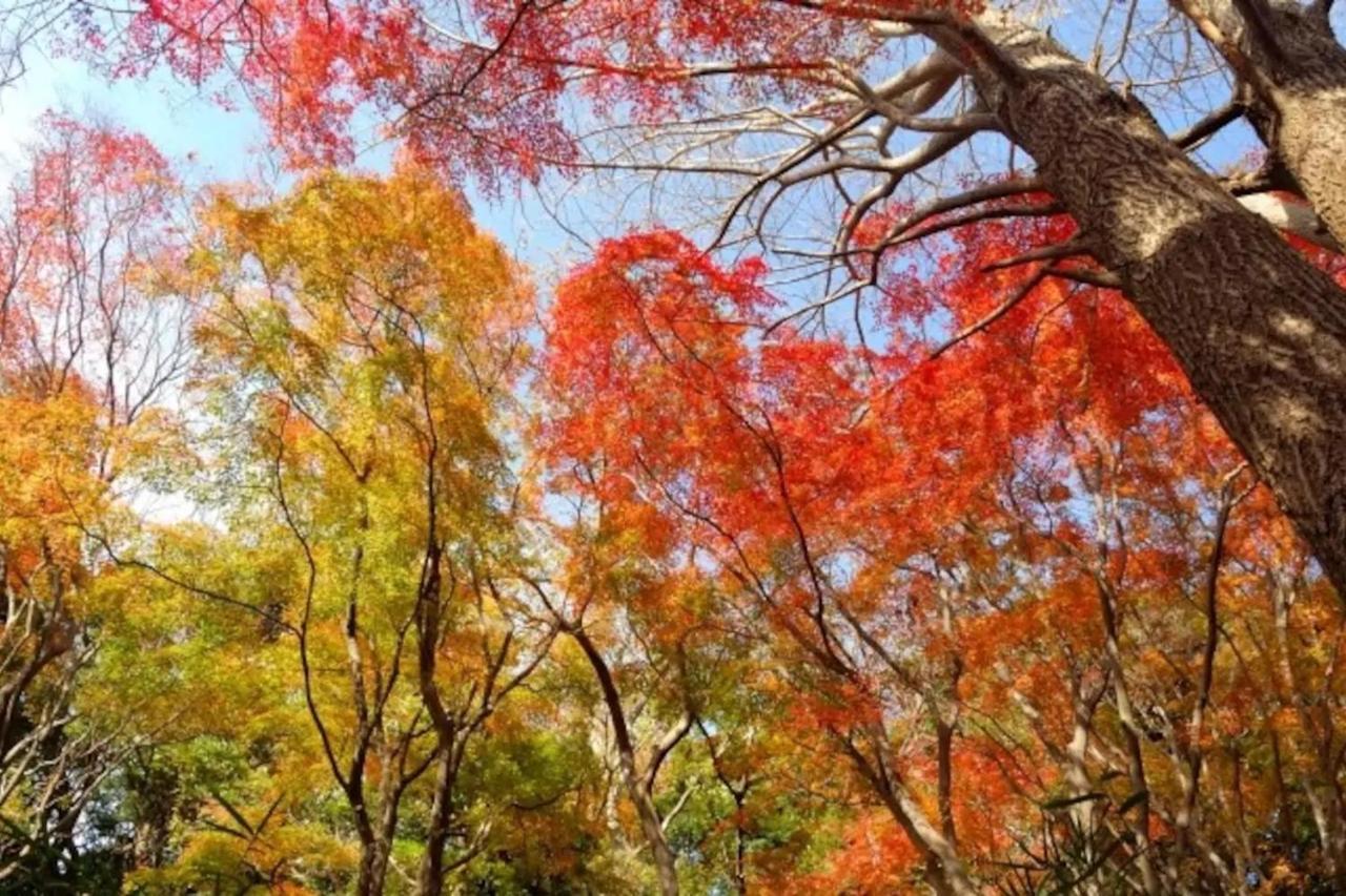 Villa Kamakura Bagian luar foto